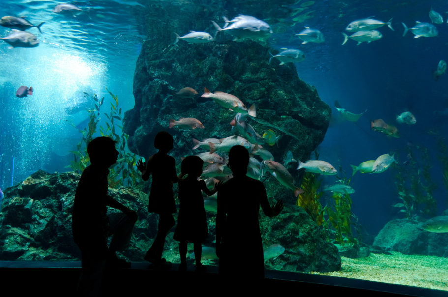 Aquarium Géant