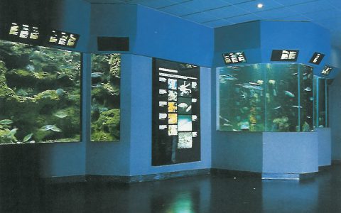 Gallerie aquariums